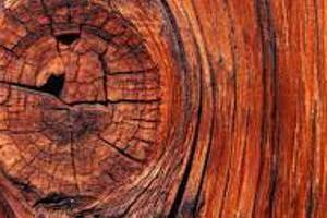 IL LEGNO